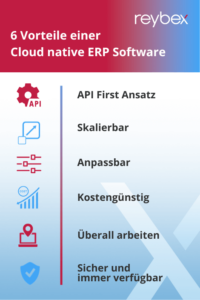 6 Vorteile einer Cloud native ERP Software